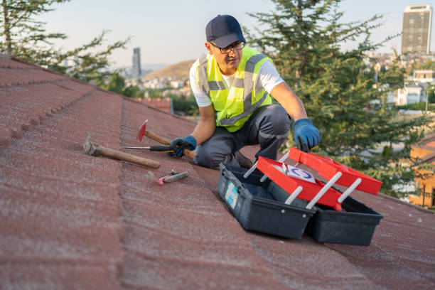 Best Shed Removal  in Port Jervis, NY